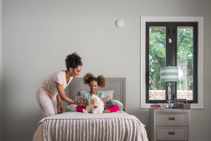 smoke & carbon detector Stamford